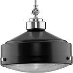 Progress Lighting P500170 Loftin 15"W Pendant - Black. Fixed Price $174.02.