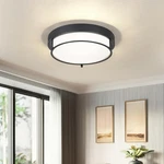 12-INCH Frosted Glass Shade Matte Black Mount Ceiling Light Model CKCL4822-2W-BK. Fixed Price $36.99.