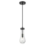 Innovations Owego 1LT 4" Cord Pendant, Black/seedy Glass 451-1P-BK-G451-4SDY. Fixed Price $221.76.