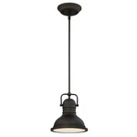 Westinghouse 63082A Boswell One-light Led Indoor Mini Pendant, Oil Rubbed Bro.... Fixed Price $72.61.