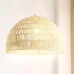 Jonathan JYL6504A Campana 20" 1-LIGHT. Fixed Price $62.99.