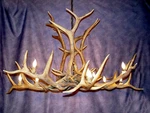 Reproduction Elk Single Tier Chandelier, Cdn Lighting, Lamps LR12XL. Fixed Price $3198.00.