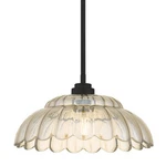 Quoizel WHP1814 Whitecap 14"W Pendant - Mottled Cocoa. Fixed Price $175.99.