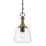 Capital Lighting 345611 Amara 9"W Mini Pendant - Matte Black With Brass. Fixed Price $238.00.