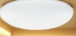 Lithonia Lighting Fm 22 Aclr Lp M4 11-INCH White Acrylic Semi-flush Mount. Fixed Price $39.99.