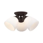 Livex Lighting 13664 Bronze Somerville 3-LIGHT Flush Mount Ceiling Fixture. Fixed Price $127.96.