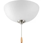 Progress Joy/rave Ceiling Fan Light W/etched Glass Shade - Brushed Nickel New. Fixed Price $29.99.