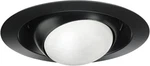 Details Juno Lighting 229-BL 6-INCH PAR/BR30 Regressed Eyeball With Black. Fixed Price $33.99.