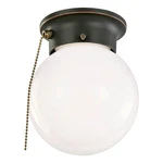 Pemberly Row Stainless Steel Ceiling Light With Pull Chain Bronze. Fixed Price $41.85.