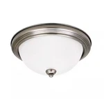 Sea Gull Lighting Geary 1 Antique Brushed Nickel Ceiling Fixture. Fixed Price $19.99.