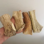348.ELK Horn Scales For Handle, Handmade,decor (natural).. Fixed Price $60.00.