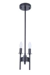 Flat Black Two Light Mini Pendant From The Larrson Collection. Fixed Price $43.62.