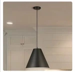 Allen + Roth 2469968 Adele Matte Black Canopy Shade Cone Pendant Light. Fixed Price $29.99.