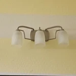 Progress Lighting P2796 Wisten Three-light Bathroom Fixture Nickel. Fixed Price $29.99.