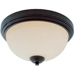 Z-lite 314F2-BRZ Chelsey Light 12 Inch Bronze Flush Mount Ceiling. Fixed Price $46.48.