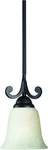Z-lite Windsor Collection Matte Black Finish Light Mini Pendant Orig $123. Fixed Price $47.99.
