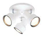 Westinghouse 8-1/4 In. X 10-1/8 10-3/16 Ceiling Light. Fixed Price $49.95.