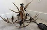 Creations (2001) Genuine Antlers Chandelier. Fixed Price $150.00.