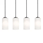 Afx Lighting Linear Pendant Black/white - LEOP04MBBKLNR4. Fixed Price $408.00.
