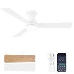 Dolavast Ceiling Fans With Lights, 48 Low Profile Inch, White. Fixed Price $153.99.