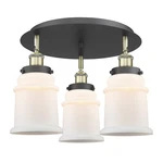 Innovations Lighting 916-3C-11-18 Canton Flush Multicolor. Fixed Price $448.80.