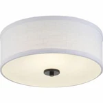 Progress Lighting Inspire Led 13-IN Graphite Semi-flush Mount. Fixed Price $55.99.