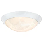 Westinghouse Lighting 6106600 Led Interior Fixture. Fixed Price $53.73.