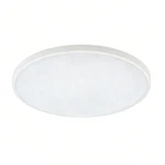 Modern Flush Mount Ceiling Light 11.8" Slim 24W White Indoor Fixture. Fixed Price $20.17.