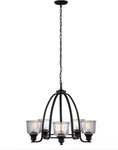Dsi Lighting Bennington 5-LIGHT Matte Black Chandelier Water Glass Shades. Fixed Price $134.03.