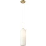 Z-lite 732P22-HBR Monty 1 Light 5.25 Inch Heritage Brass Pendant Ceiling. Fixed Price $120.70.