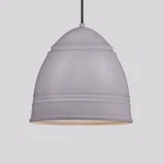 Lbl Lighting LB876ALPN2D - Loft Pendant Aluminum W/ Brushed Nickel Cage. Fixed Price $77.99.