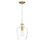 Forte 321061 One Light Mini Pendant, See Image. Fixed Price $128.01.