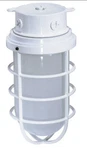 Nuvo 76-618 1-LIGHT 11" Industrial Style Surface Mount With Frosted Glass. Fixed Price $28.50.