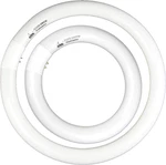 FC8T9/CW 22W And FC12T9/CW 32W Cool White Round Fluorescent Light Bulb Set, In. Fixed Price $32.06.