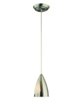 1 Light Pendant Brushed Steel With Metal/glass Shade EC9085SBA. Fixed Price $23.00.