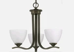 Progress Lighting Laird Three-light Chandelier P400062. Fixed Price $89.99.