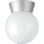 Nuvo Lighting 77/152 6"W Outdoor Semi-flush Globe Ceiling Silver. Fixed Price $28.99.