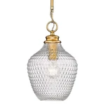 Golden Lighting 1088-M Clr Adeline 9"W Mini Pendant. Fixed Price $179.99.