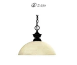 Z-lite Light Pendant With Glass Shade 100701 Mb. Fixed Price $44.99.