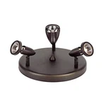 Trans Globe W-462 Rob Stingray 10" Indoor Flush Mount Light Rubbed Oil Bronze. Fixed Price $55.29.