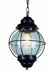 Trans Globe Lighting 69903 Bk Outdoor Catalina 13.5" Hanging Lantern, Black. Fixed Price $89.99.