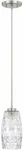 Capital Lighting 328611BN-450 Pendants Indoor Brushed Nickel. Fixed Price $39.00.