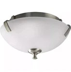Progress Lighting P3290-09 Wisten Flush Mount Ceiling Nickel Nib. Fixed Price $64.95.