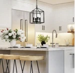 Merra 9.5 In. 4-LIGHT Black Caged Chandelier Open Frame W Retro Industrial Style. Fixed Price $48.38.