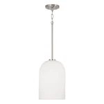 New Capital Lighting Pendants Indoor 348811BN. Fixed Price $74.99.