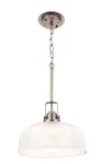 Progress Lighting Archie Collection 1-LIGHT Antique Nickel Pendant. Fixed Price $45.00.