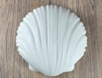 Frosted Glass Clam Sea Shell Shaped Fitter Globe, For Flush Mount Light Fixture. Fixed Price $67.15.