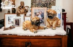Ceramic Small Size Pug Dogs Salt & Pepper Shakers, Home Cor, Gift For Her,. Fixed Price $19.99.