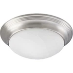 Progress Lighting P3688 1 Flush Mount Ceiling Fixture - Nickel. Fixed Price $67.54.