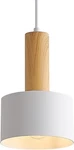 New- Fivess Lighting Modern Mini Pendant W/ 4W Led Bulb -one-light Fixture. Fixed Price $25.00.
